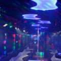 Renting a Party Bus: All You Need to Know